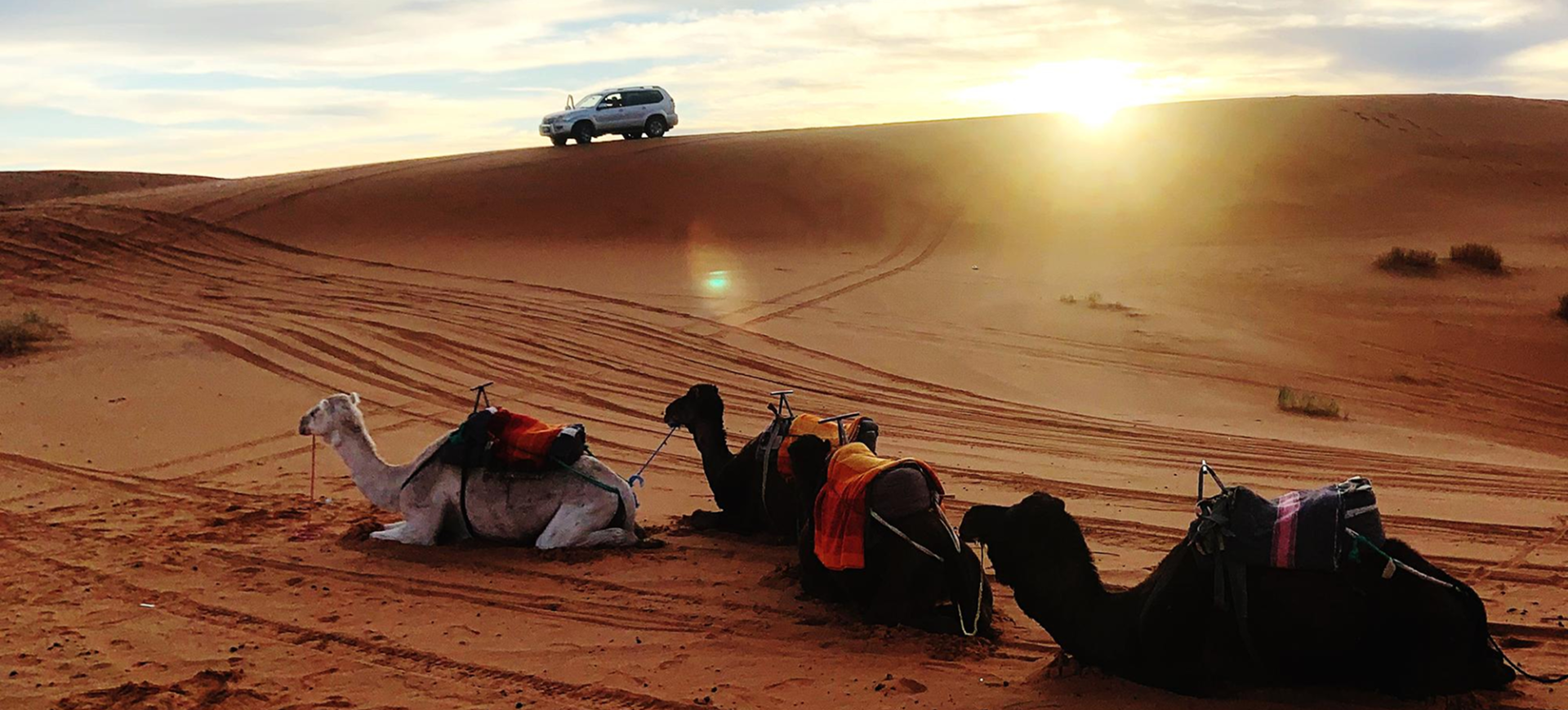 Dubai City Tour & Desert Safari